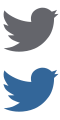 Twitter Icon
